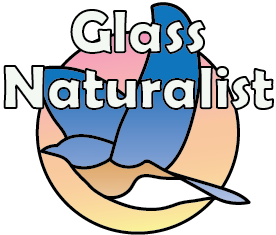 Glass Naturalist