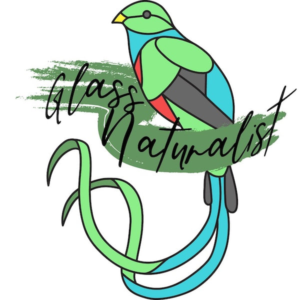 Glass Naturalist