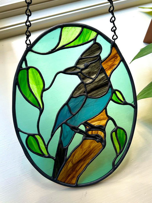 Steller's Jay